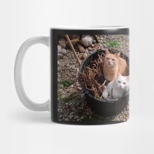 Two Cats in Garden Tub Mug